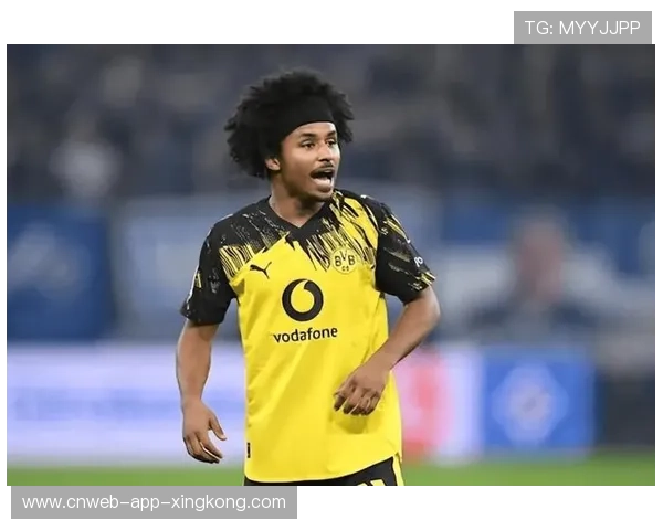 多特蒙德拟以分期付款方式完成巨额引援，足球世界掀起新风潮